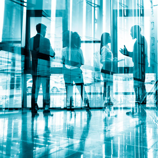 Equipo de consultoría